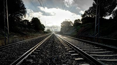 Memoria de delfín - 75 aniversario de RENFE (1941-2016) - 01/02/16 - Escuchar ahora