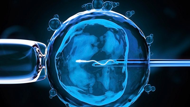 El Reino Unido abre las puertas a la modificación genética de embriones