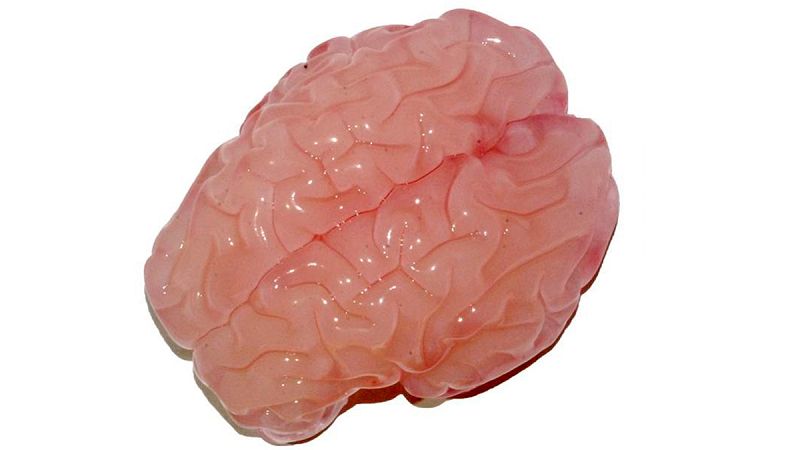 Crean una réplica en 3D del cerebro humano con todos sus pliegues y cavidades
