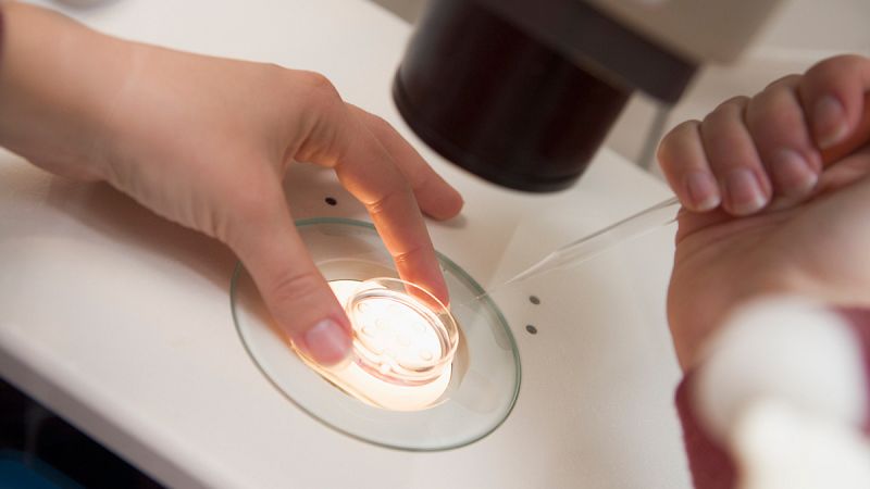 La investigación en embriones humanos también está permitida en España