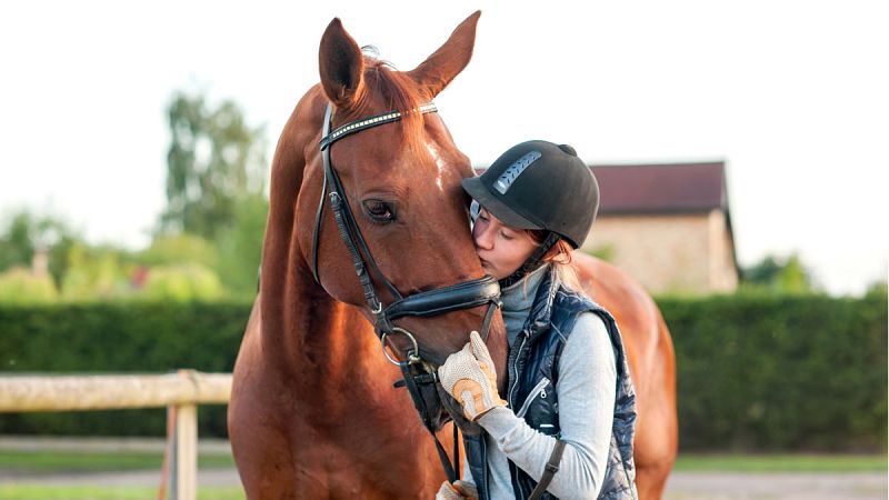 Los caballos pueden reconocer las emociones humanas