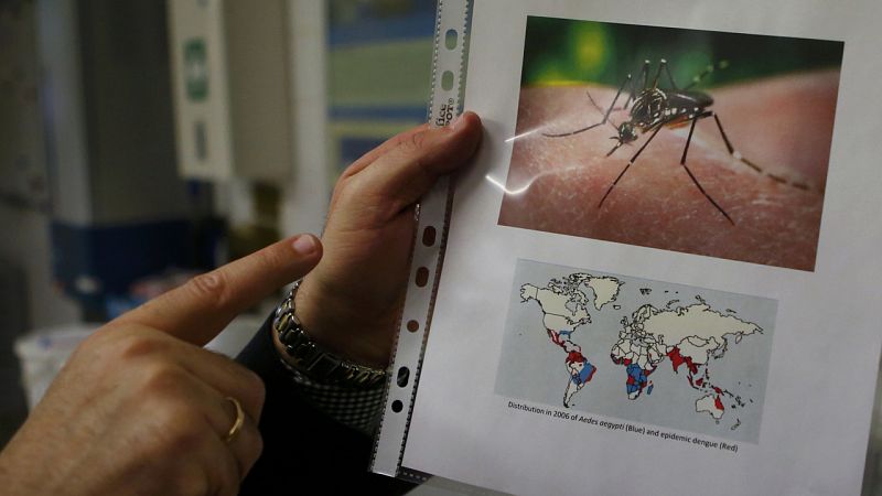 Australia confirma la infección de una embarazada con el virus Zika, que continúa su expansión