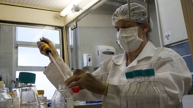 Los ensayos a gran escala de la vacuna del zika tardarán al menos 18 meses, según la OMS
