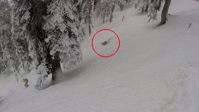 Sorpresa de unos esquiadores ante un leopardo de las nieves