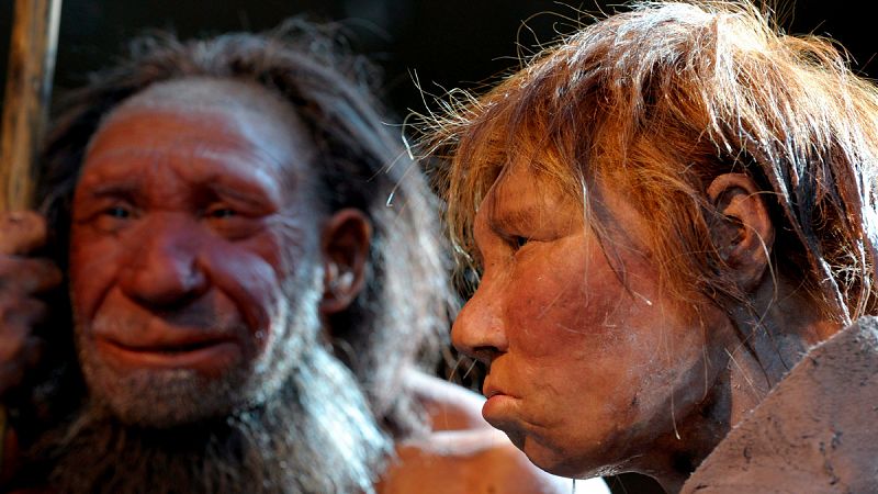 El canibalismo pudo ser el motivo de extinción de los neandertales, según un estudio