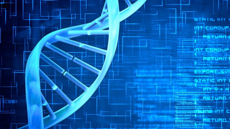 Crean una célula autónoma con menos genes que expande la posibilidad de vida sintética