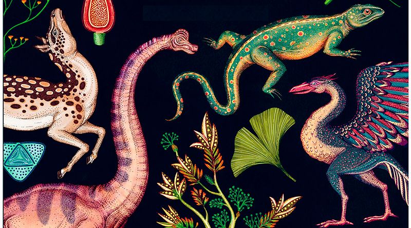 La historia de la evolución en un libro-ilustración de dos metros