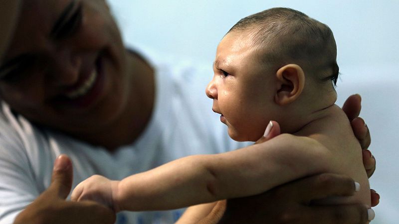 Descubren la estructura del virus del Zika, clave para tratamientos y vacunas