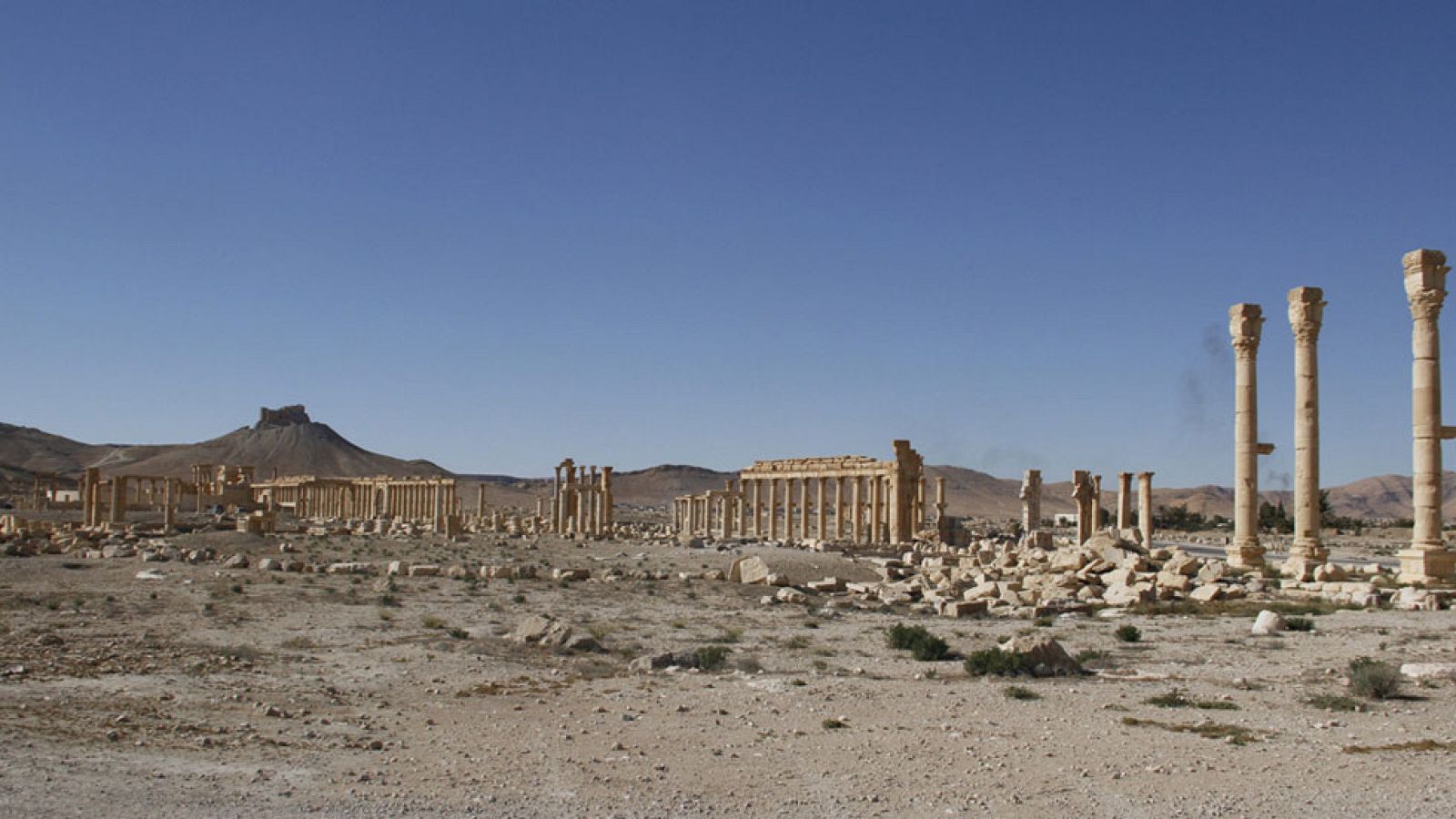 Encuentran en Palmira una fosa común con los restos humanos de más de 40 personas