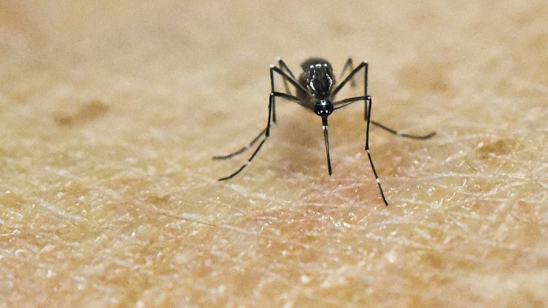 EE.UU. confirma la relación directa entre el virus del zika y la microcefalia