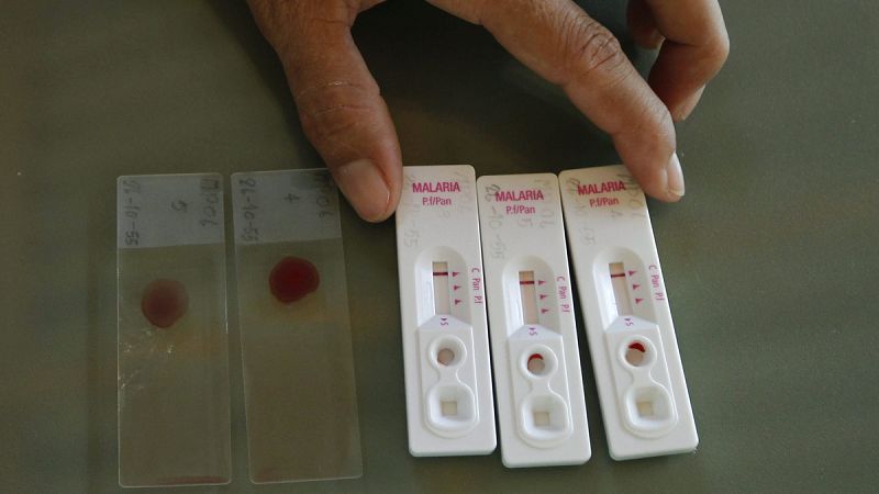 La OMS declara a Europa libre de malaria