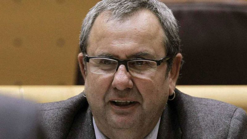 El Supremo procesa al senador de EH Bildu Iñaki Goioaga por integración en ETA