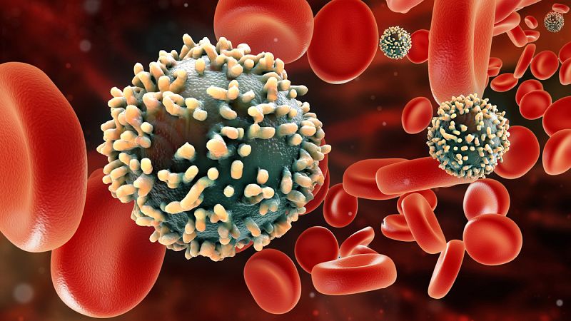 Diseñan una molécula eficaz frente al VIH, la hepatitis C, el dengue y el virus del Nilo Occidental