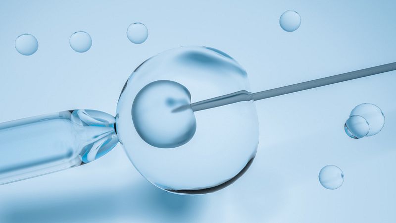 Un equipo de investigadores mantiene con vida por primera vez embriones humanos 'in vitro' durante trece días