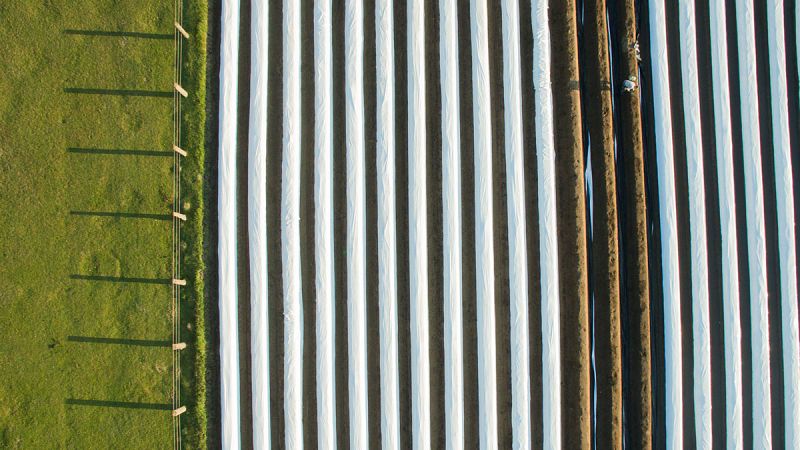 La locomotora alemana acelera y crece un 0,7% en el primer trimestre