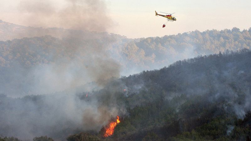 Desarrollan una red de sensores para combatir los incendios forestales