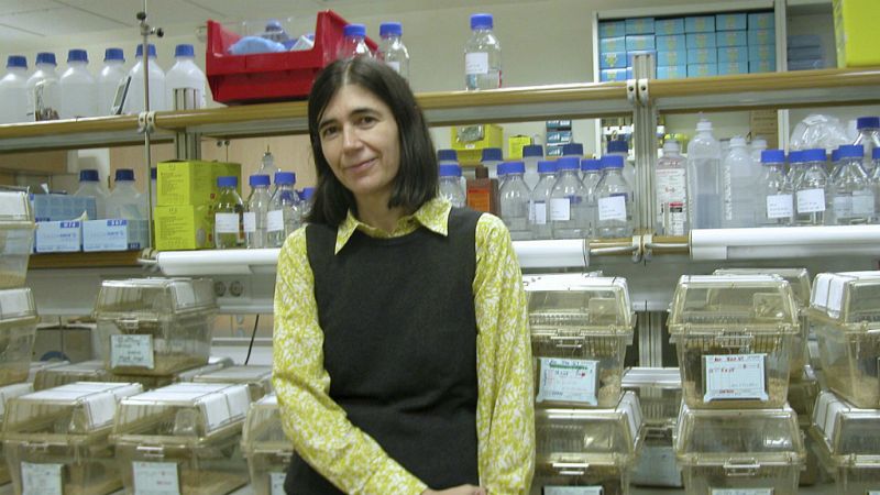 María Blasco: "Si no envejeciéramos, el cáncer y el alzhéimer serían enfermedades raras"