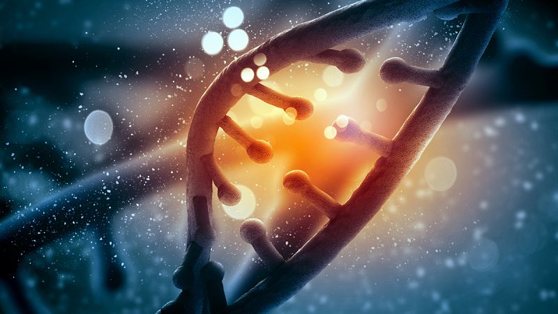 El 56% de la población porta genes mutados que causan enfermedades hereditarias