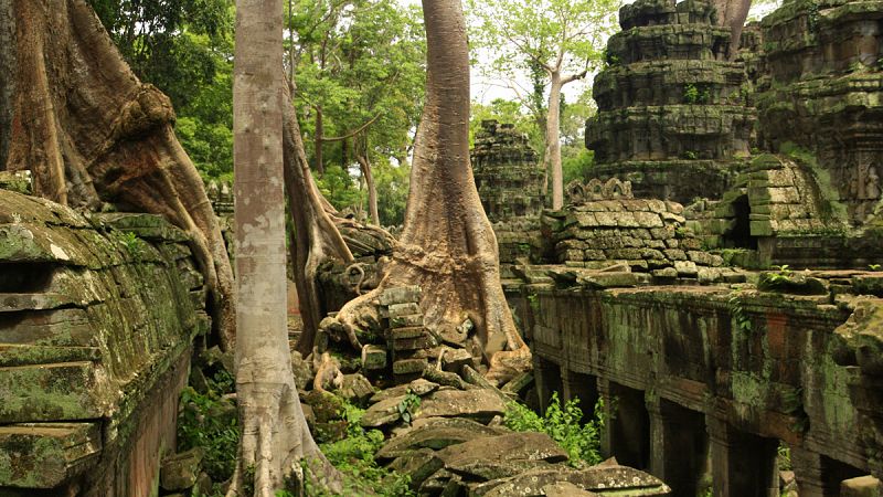 Descubren una trama de ciudades del imperio Jemer sepultadas en la jungla de Camboya