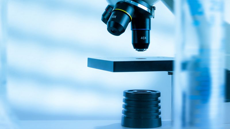 Recuperan células inmunológicas corrompidas por tumores para atacar el cáncer