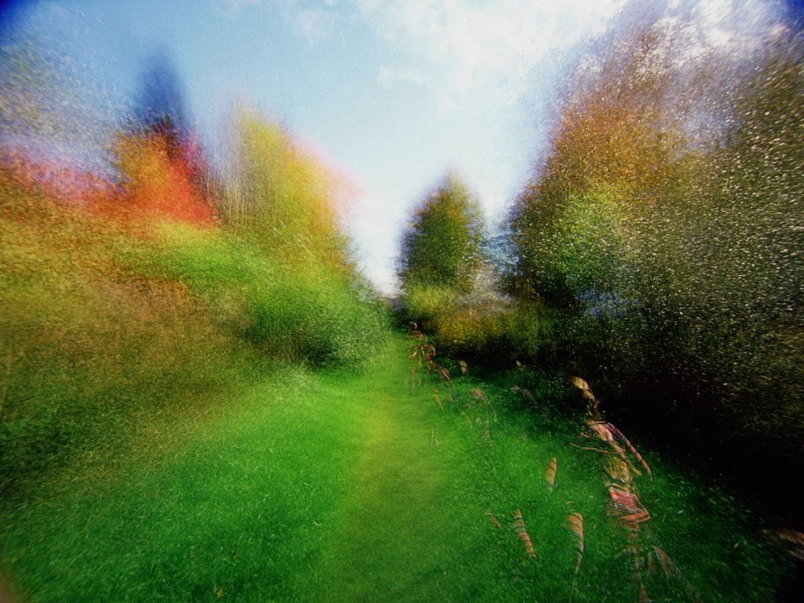 Metrópolis - [S8] Mostra de Cinema Periférico de A Coruña  - ver ahora