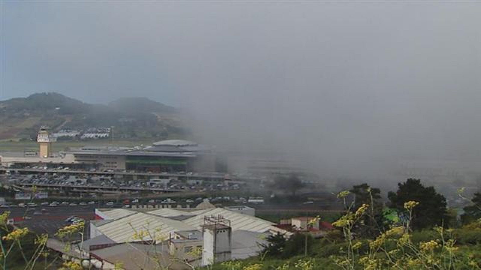 NIEBLA RODEOS