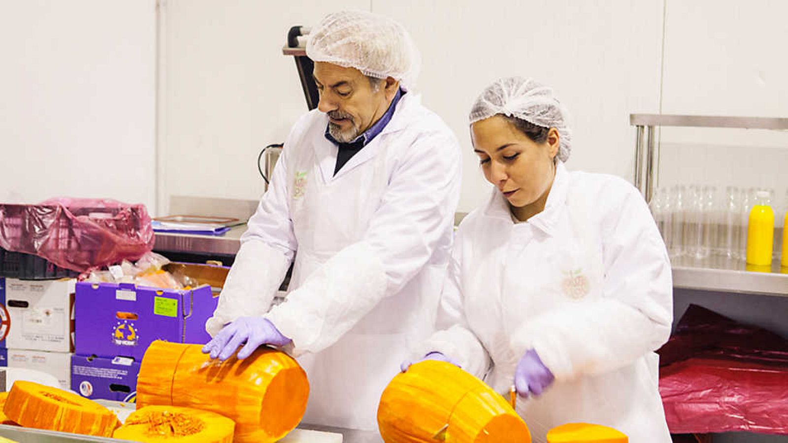 Trabajo Temporal - Ana Obregón y Carlos Sobera - ver ahora