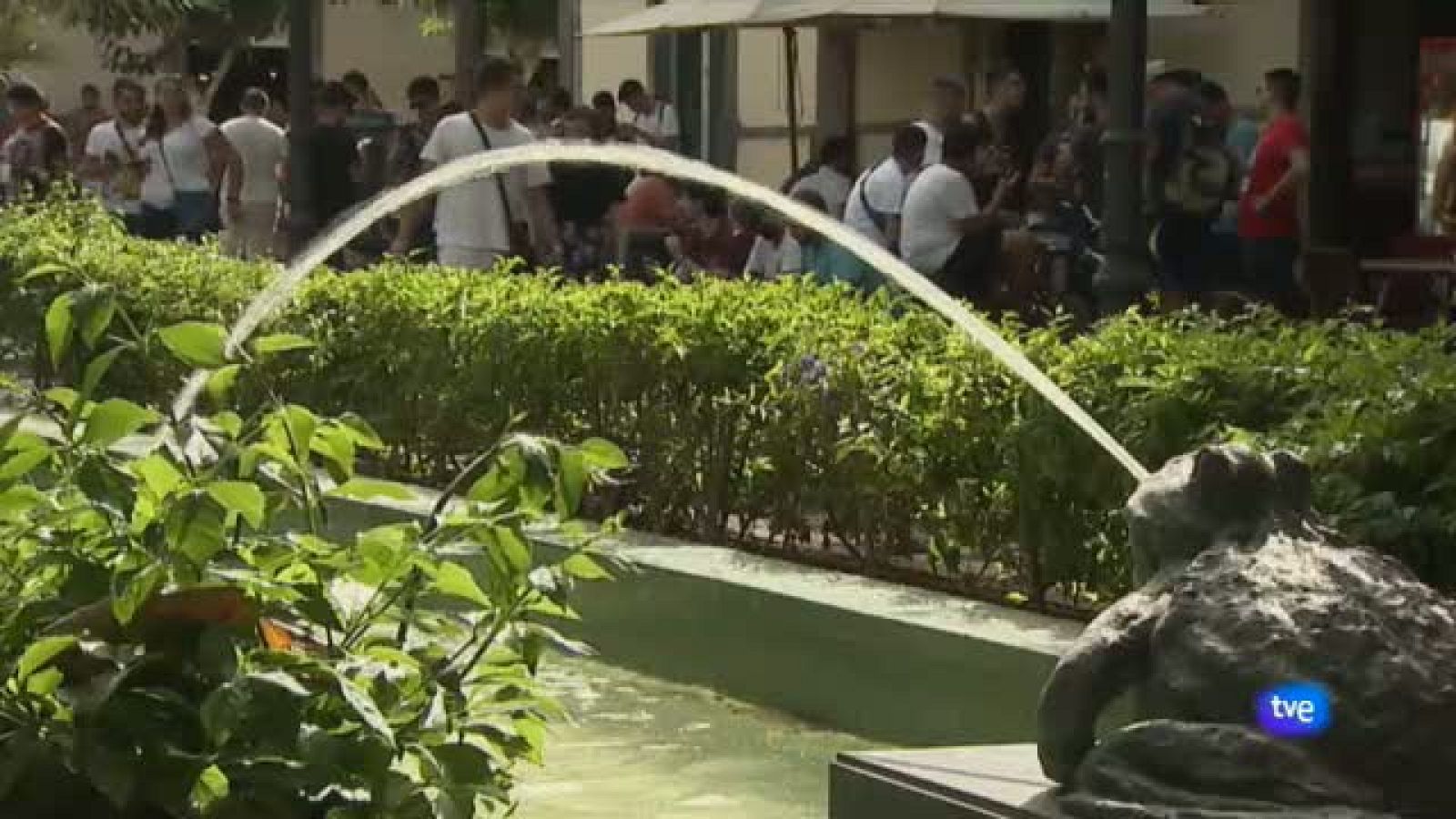 Pokemon Go Canarias | Ver