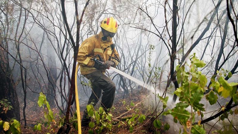 Un incendio forestal en Blanes obliga a desalojar cuatro urbanizaciones
