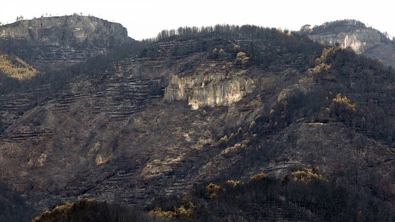 El incendio de Artana, en Castellón, afecta a 1.500 hectáreas, la mitad de ellas de la Sierra de Espadán