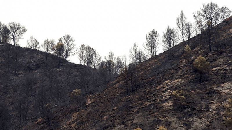 Logran estabilizar el incendio forestal de Artana, en Castellón, por las condiciones climáticas favorables