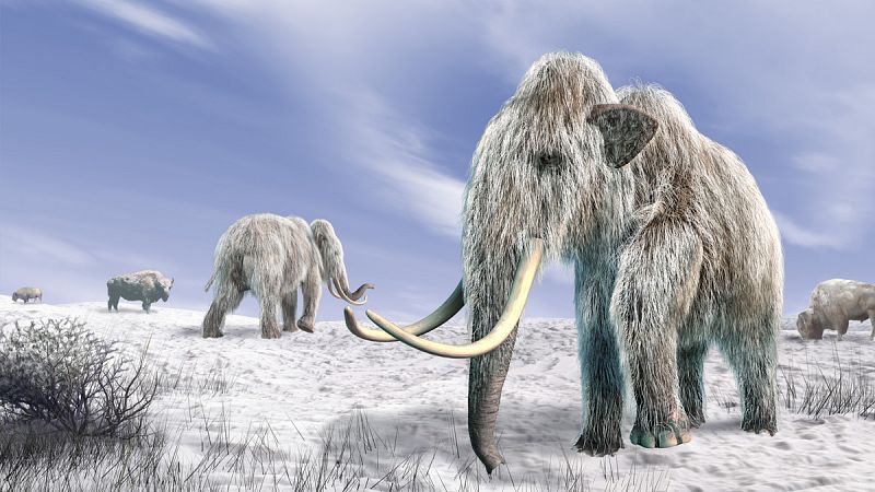 Los últimos mamuts de América