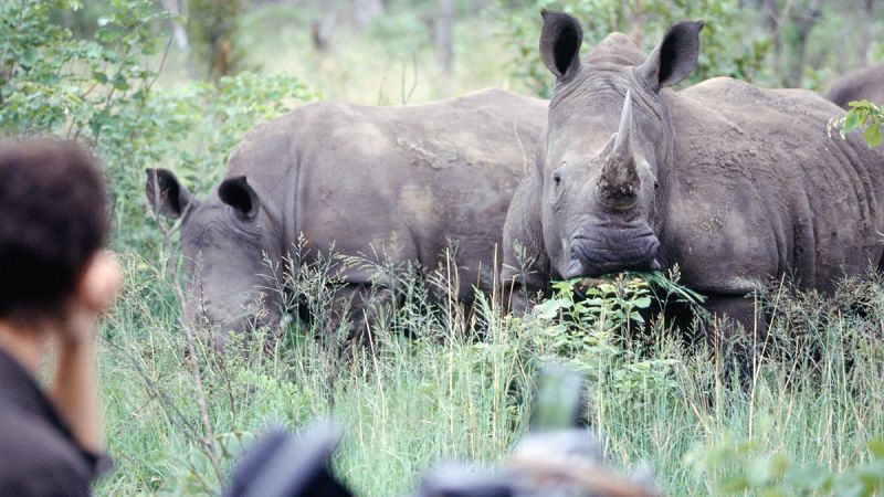 ¿Te gusta viajar y además los animales? Apunta estas 12 propuestas