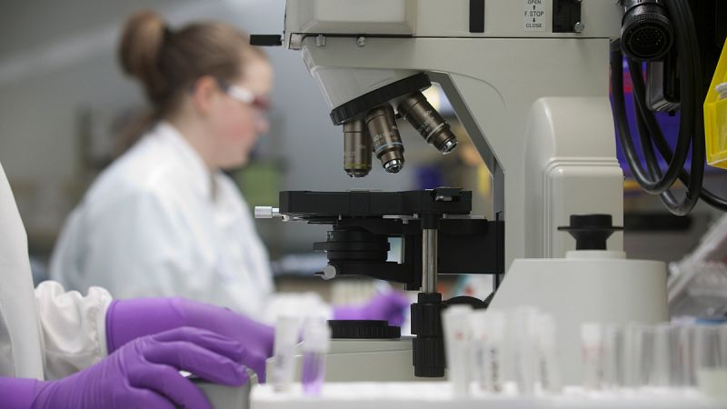 Descubren un interruptor molecular clave para el estudio de las células madre