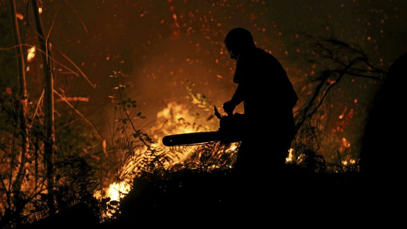 Galicia lucha contra una oleada de incendios, la mayoría intencionados, que han quemado ya 6.000 hectáreas