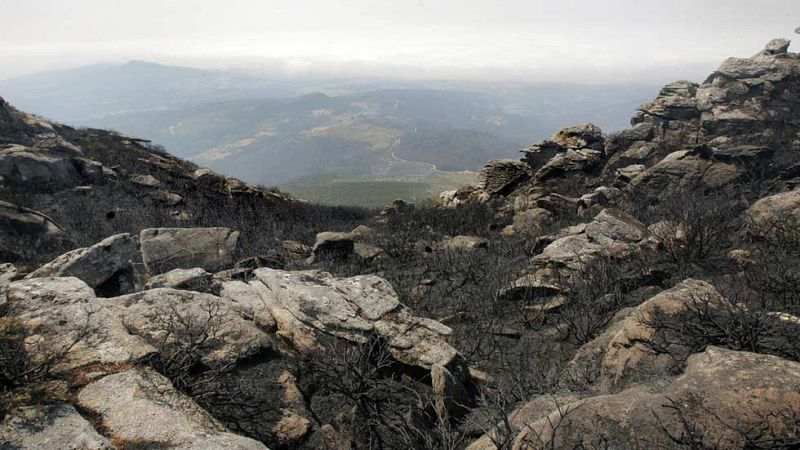 Catorce incendios continúan pendientes de extinción en Galicia