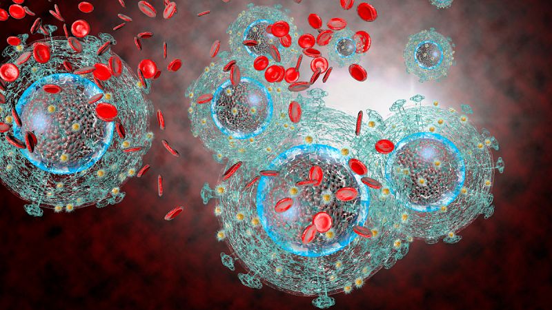 Los virus relacionados con el VIH surgieron hace 60 millones de años