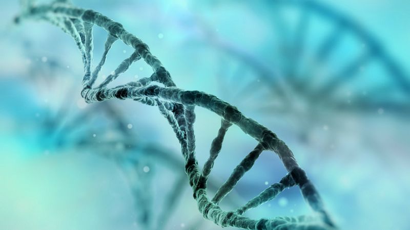 Describen un mapa con las mutaciones genéticas y su frecuencia en la especie humana