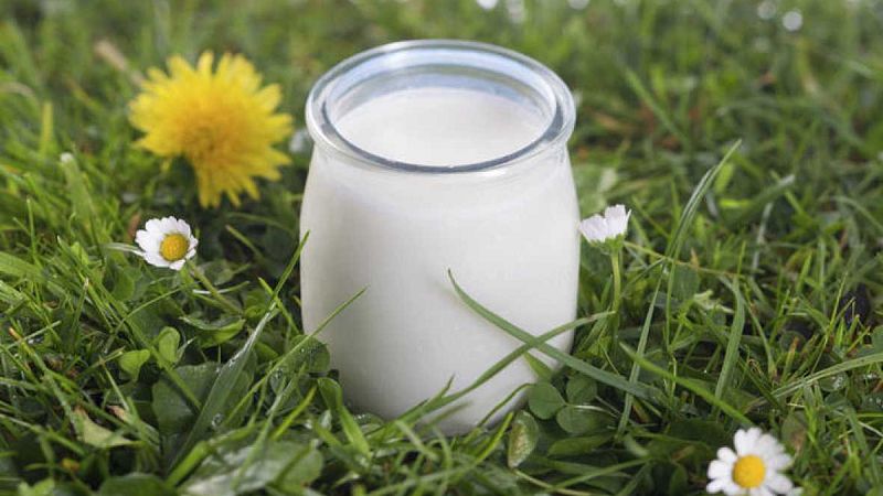 Yogur entero para prevenir la depresión