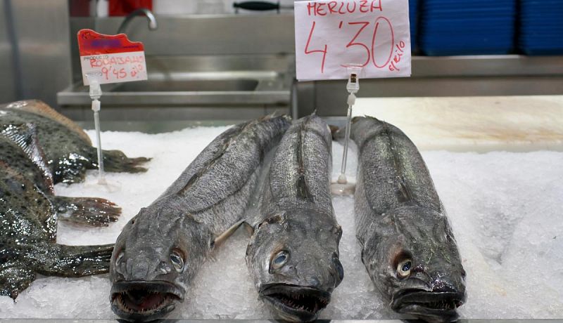 Uno de cada seis peces que se venden en las pescaderías de España contiene microplásticos en su estómago