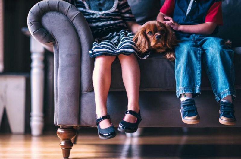 ¿Qué ocurre en el cerebro cuando llamamos a nuestro hijo por el nombre de su hermano?