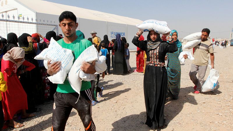 Amnistía Internacional acusa a Irak de crímenes contra civiles suníes que huyen del Estado Islámico