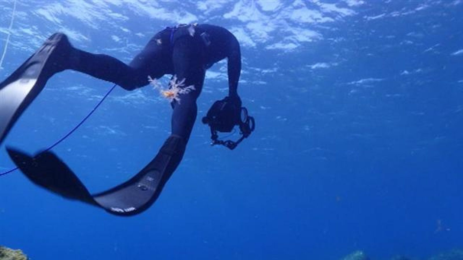 OPEN FOTOSUB EL HIERRO | Ver