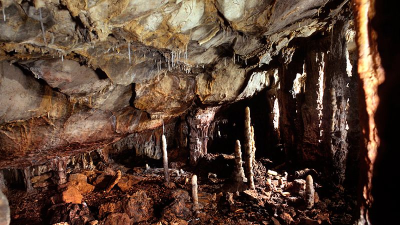 Encuentran en Cantabria restos de uno de los últimos leones de las cavernas de Eurasia