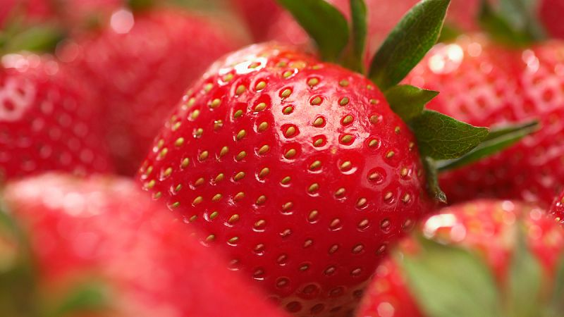 Las pepitas de la fresa contienen el 81% de los antioxidantes de esta fruta