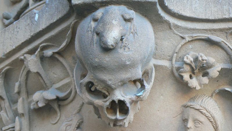 La rana de la Universidad de Salamanca se pone guapa