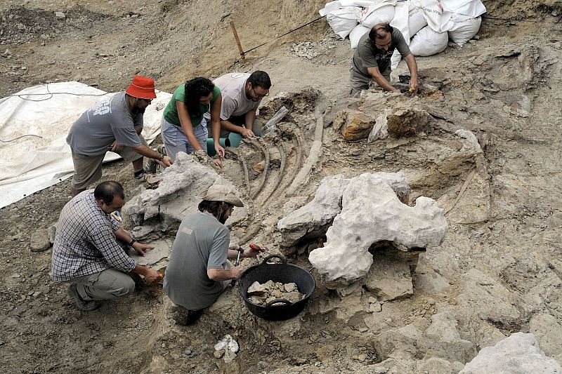 Hallan restos de un dinosaurio de 120 millones de años en Castelllón