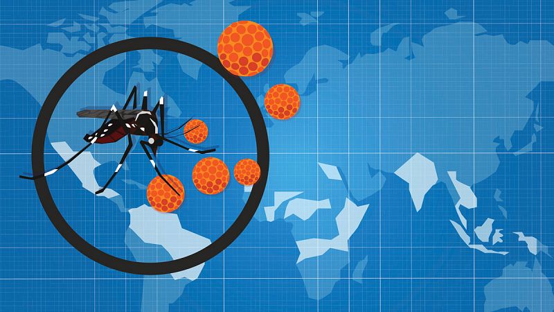 La epidemia de zika ya no constituye una emergencia sanitaria internacional