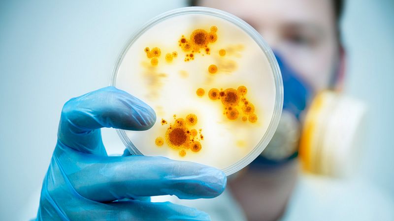 Las superbacterias provocarán 10 millones de muertes al año en 2050