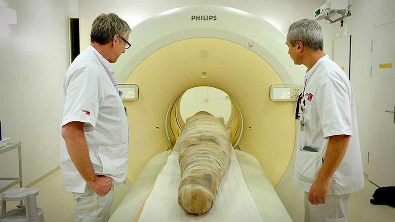 Hallan los cuerpos de 47 crías en el interior de una momia de cocodrilo egipcia